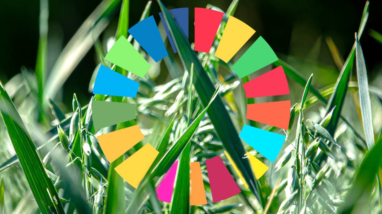 Environmental Csm Environmental social governance